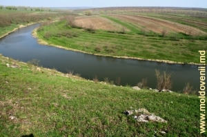 Устье реки Драгиште, апрель 2013