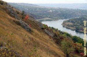 Panta malului cu stînci şi desişuri de arbuşti, vedere spre satul Naslavcea