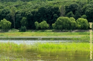 Vedere spre lacul şi parcul Valea Morilor, vara anului 2011