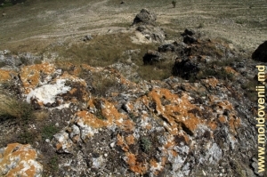Stîncile acoperite cu licheni în vîrful pantei drepte a defileului