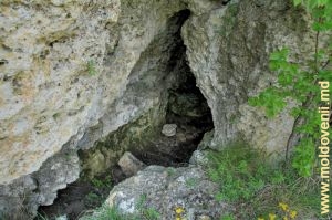 Intrarea în peşteră de pe panta dreaptă din preajma satului Buzdugeni
