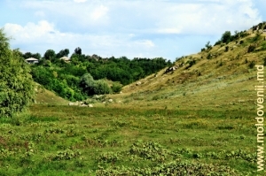 Ущелье над Раковцом у села Халахора де Жос, Бричень
