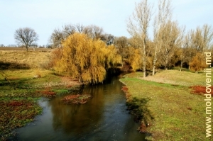 Река Раковэц вблизи села Брынзень, Единец