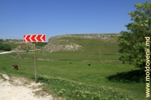 Vedere spre stîncă de pe drumul Cobani-Buteşti