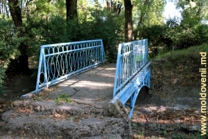 Pod în parc
