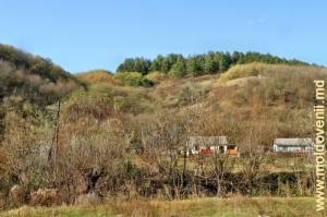 Вид на долину с правого берега реки Косарэу