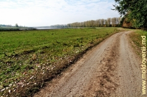 Дорога вдоль водохранилища между селами Кукуеций Ной и Каменка
