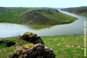 Раковэцкое водохранилище между селами Брынзень и Корпачь, Единец