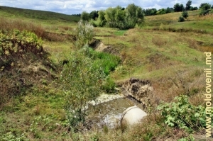 Исток Чухураша из водохранилища в селе Шофрынкань, Единец