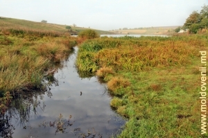 Locul de unde izvorăşte rîul Camenca în preajma satului Balanul Nou