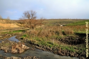 Река Кушмирка вблизи трассы