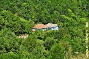 Дома в долине реки Косарэу