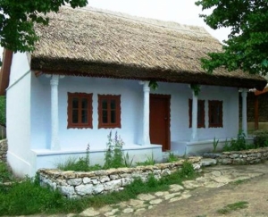 Дом  музей из Бутучень