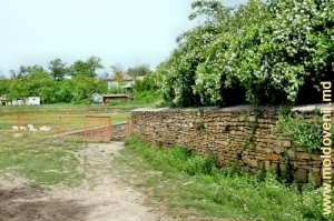 Стена, окружающая территорию источников