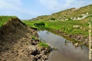 Valea rîului Camenca între satele Buteşti şi Cobani, Glodeni