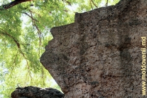 O parte a stîncii din vîrful dealului estic, pe care sculptorul şi-a tăiat în piatră profilul (pe fotografie am desenat conturul pentru a-l evidenţia)
