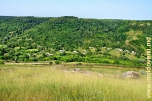 Вид на долину реки Косарэу со склона над железной дорогой