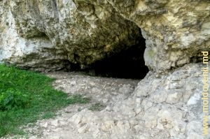 Una dintre intrările laterale în Peştera Buteşti