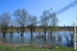 Днестр у села Бошерница, Резина. Апрель, 2013 г.