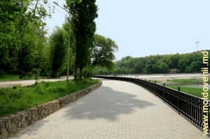 Parcul Valea Morilor, mai 2012