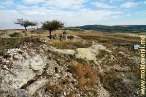 Toltre pitoreşti, sus de valea Camencii, satul Cobani, Glodeni