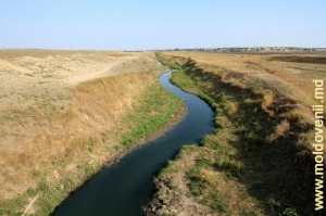 Речка Когыльник на окраине Чимишлии
