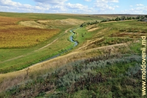Река Чухур среди толтровых гряд между селами Столничень, Единец, и Почумбэуць, Рышкань