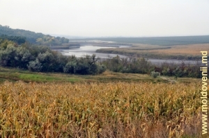 Plavii şi lacul de acumulare secat de pe rîul Camenca din preajma satului Pîrjota