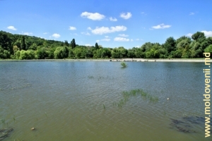 Parcul și lacul Valea Morilor, august 2013
