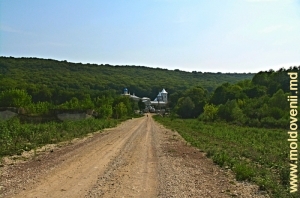 Drumul spre mănăstirea Calaraşovca
