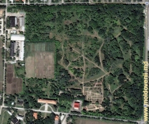 Grădina Botanică de la Tiraspol pe harta Google