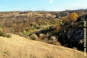 Vedere de pe panta defileului spre valea rîului Cosărău