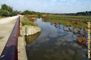 Мост над Каменкой у села Кукуеций Векь, Рышкань