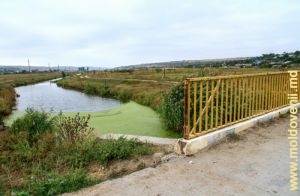 Река Лэпушна в центральной части села Лэпушна и мост над рекой 