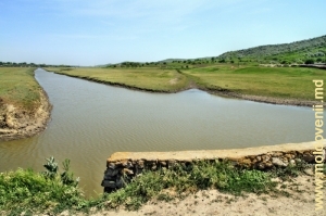 Река Каменка у села Дружинень, Фэлешть вблизи своего устья