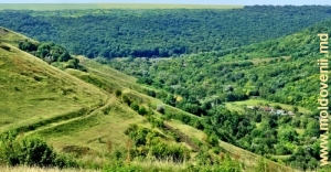 Vedere spre valea rîului Cosărău de pe panta de sus de calea ferată