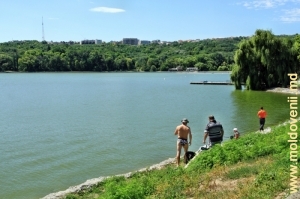 Parcul și lacul Valea Morilor, august 2013