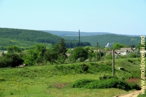 Vedere spre marginea satului Tigheci, raionul Leova şi dealurile împădurite ale Podişului Tigheci