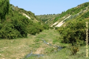 Partea de jos a defileului de la Molovata