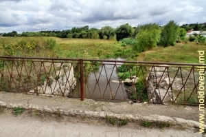 Река Чухур в городе Купчинь, Единец