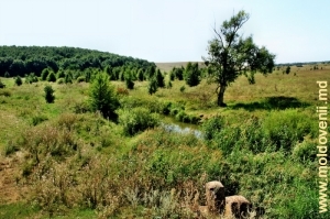 Долина Раковца в Корестэуць