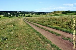 Дорога в долине Раковца у села Халахора де Жос, Бричень