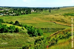 Долина Раковца у села Халахора де Жос, Бричень