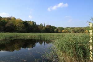 Вид на парк с озера в нижней части парка Цауль