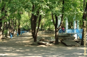 Centrul parcului cu rotonda