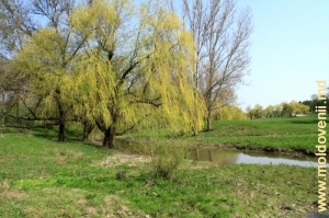 Rîul Draghiște, satul Burlănești