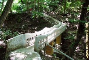 Живописный мостик на туристической трассе в ущелье Каларашовка