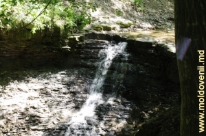 Cascadă, partea de jos a Defileului Calaraşovca