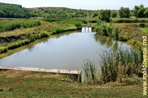 Водохранилище в селе Мэркэуць, Бричень