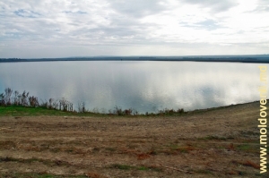 Lac mare, sus de valea rîului Camenca din satul Tomeştii Noi, Glodeni